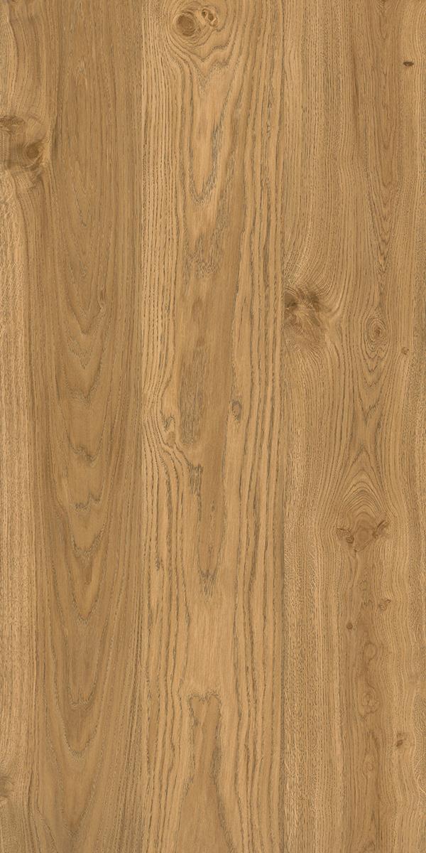 Brushed Oak 1